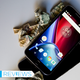 All images: Alex Cranz/Gizmodo
